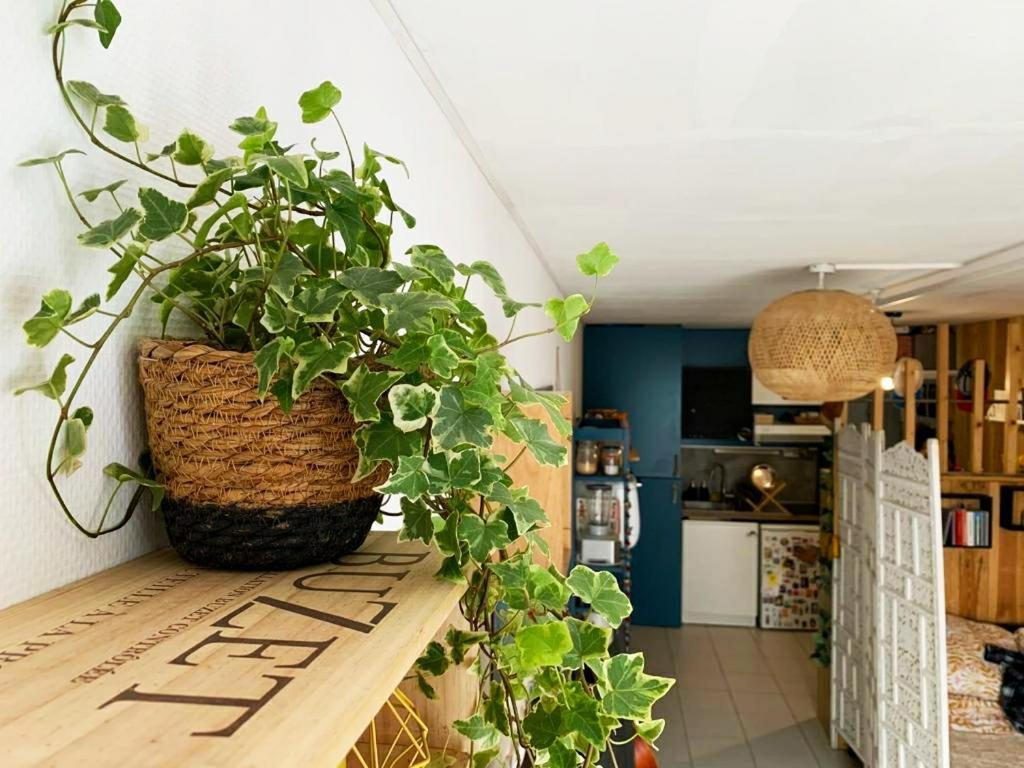 Studio Avec Terrasse Tout Pres Du Vieux Port La Rochelle  Zewnętrze zdjęcie